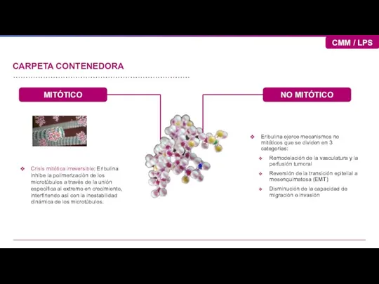 CARPETA CONTENEDORA Eribulina ejerce mecanismos no mitóticos que se dividen en 3