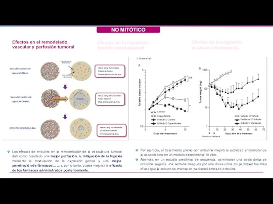 Efectos en el remodelado vascular y perfusión tumoral Efectos en la transición