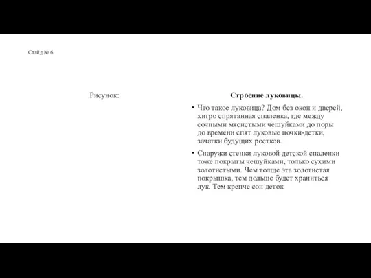 Слайд № 6 Рисунок: Строение луковицы. Что такое луковица? Дом без окон