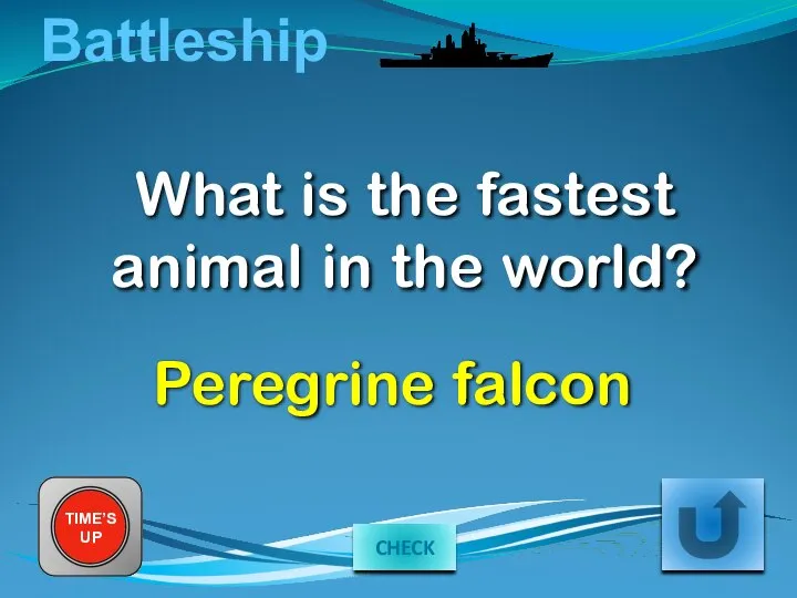 Battleship What is the fastest animal in the world? TIME’S UP Peregrine falcon CHECK