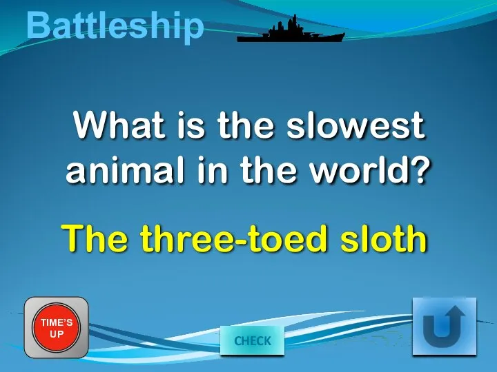 Battleship What is the slowest animal in the world? TIME’S UP The three-toed sloth CHECK