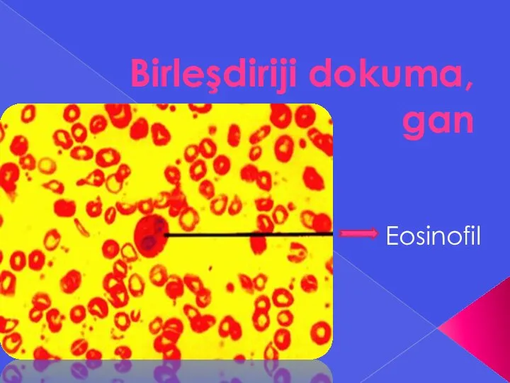 Birleşdiriji dokuma, gan Eosinofil