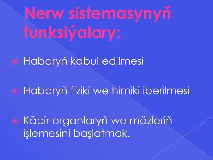 Nerw sistemasynyň funksiýalary: Habaryň kabul edilmesi Habaryň fiziki we himiki iberilmesi Käbir