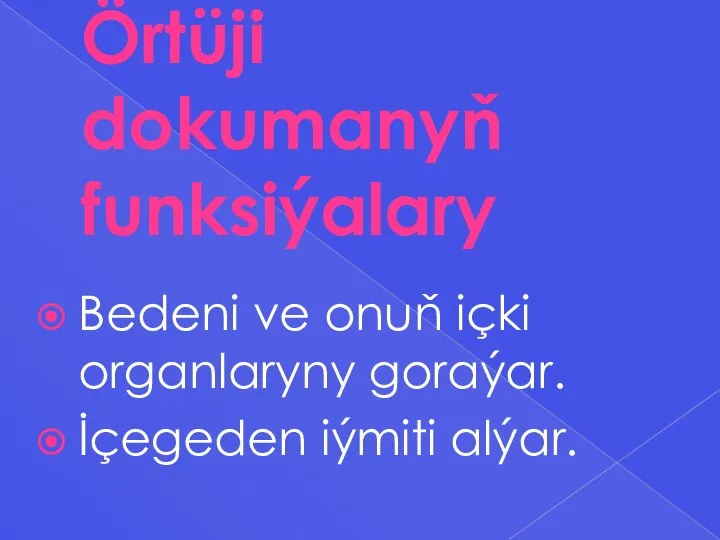 Örtüji dokumanyň funksiýalary Bedeni ve onuň içki organlaryny goraýar. İçegeden iýmiti alýar.