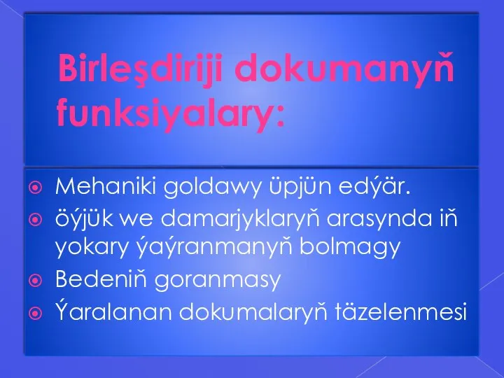 Birleşdiriji dokumanyň funksiyalary: Mehaniki goldawy üpjün edýär. öýjük we damarjyklaryň arasynda iň