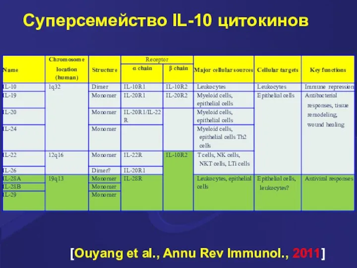 Суперсемейство IL-10 цитокинов [Ouyang et al., Annu Rev Immunol., 2011]