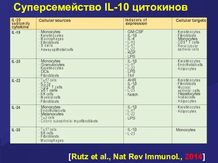 Суперсемейство IL-10 цитокинов [Rutz et al., Nat Rev Immunol., 2014]