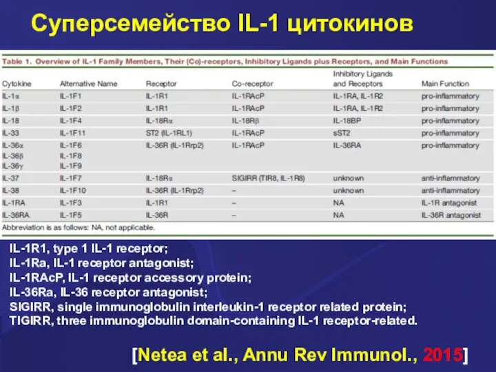 Суперсемейство IL-1 цитокинов [Netea et al., Annu Rev Immunol., 2015] IL-1R1, type