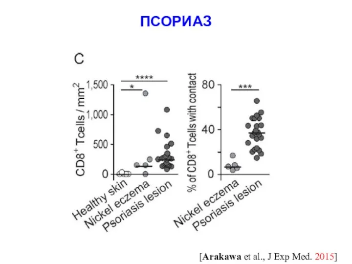 ПСОРИАЗ [Arakawa et al., J Exp Med. 2015]