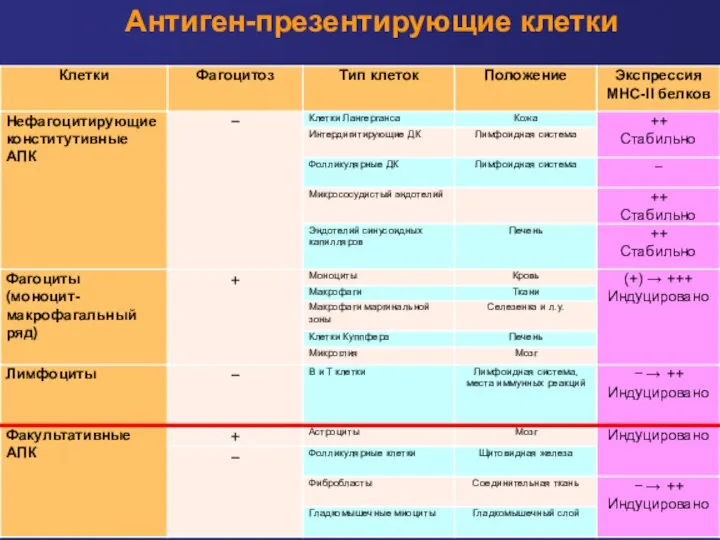 Антиген-презентирующие клетки