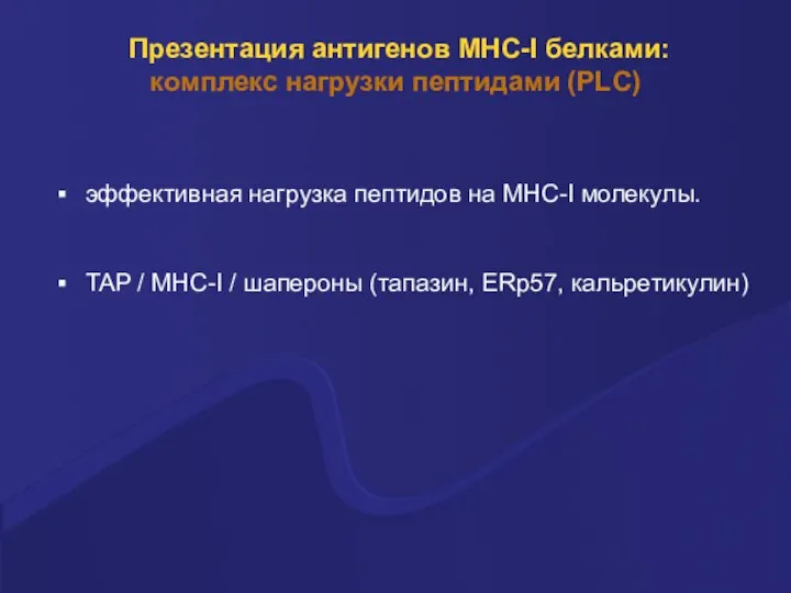 Презентация антигенов MHC-I белками: комплекс нагрузки пептидами (PLC) эффективная нагрузка пептидов на