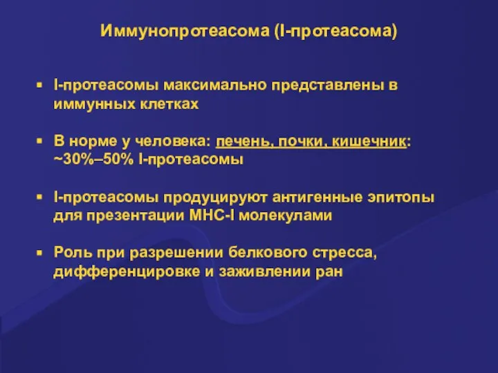 Иммунопротеасома (I-протеасома) I-протеасомы максимально представлены в иммунных клетках В норме у человека: