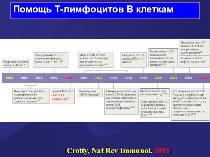 Помощь Т-лимфоцитов В клеткам [Crotty, Nat Rev Immunol. 2015]