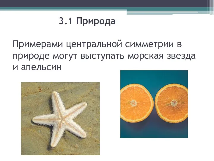 3.1 Природа Примерами центральной симметрии в природе могут выступать морская звезда и апельсин