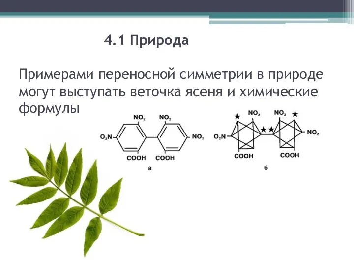 4.1 Природа Примерами переносной симметрии в природе могут выступать веточка ясеня и химические формулы