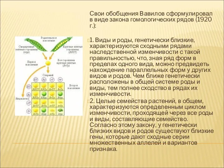 Свои обобщения Вавилов сформулировал в виде закона гомологических рядов (1920 г.): 1.