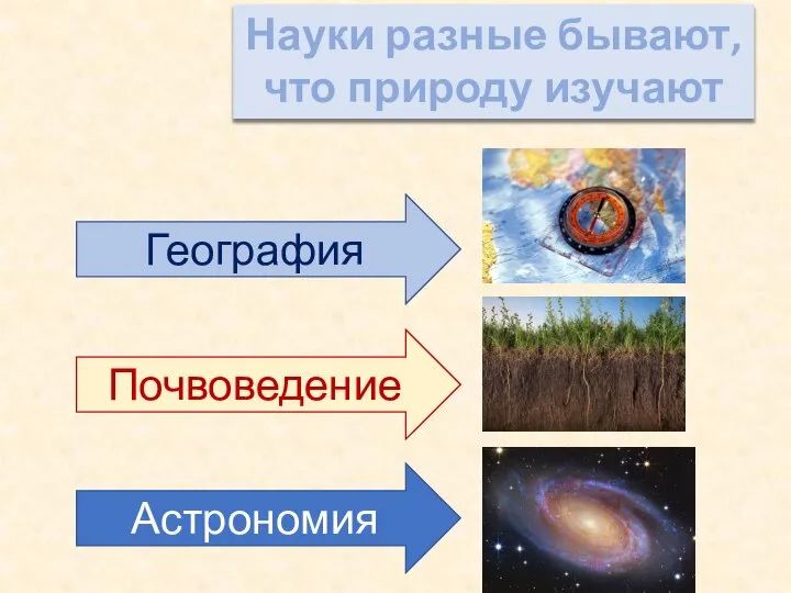 Науки разные бывают, что природу изучают География Почвоведение Астрономия