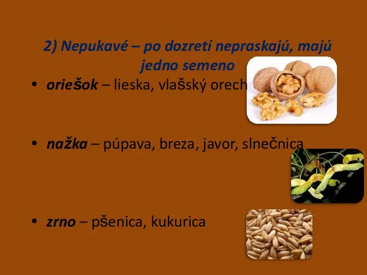 2) Nepukavé – po dozretí nepraskajú, majú jedno semeno oriešok – lieska,