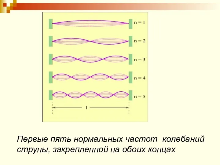 Первые пять нормальных частот колебаний струны, закрепленной на обоих концах