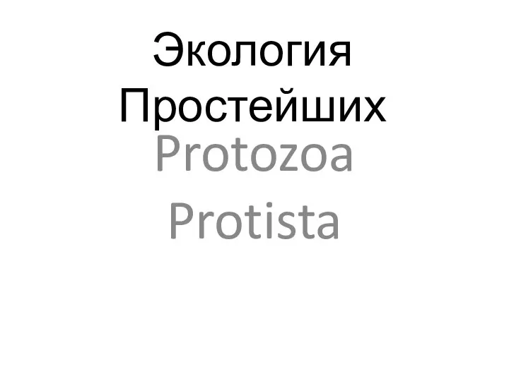 Экология Простейших Protozoa Protista