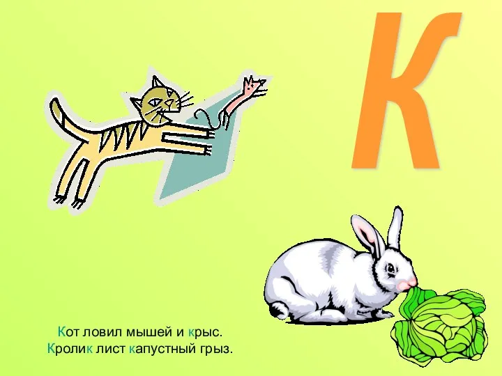 Кот ловил мышей и крыс. Кролик лист капустный грыз. К