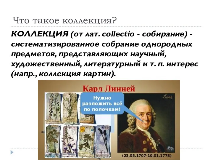 Что такое коллекция? КОЛЛЕКЦИЯ (от лат. collectio - собирание) - систематизированное собрание