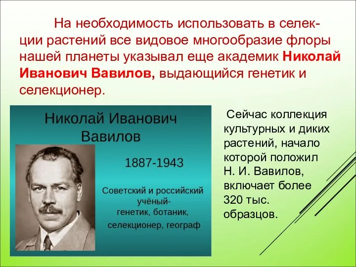 На необходимость использовать в селек-ции растений все видовое многообразие флоры нашей планеты