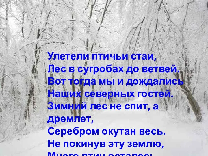 Улетели птичьи стаи, Лес в сугробах до ветвей. Вот тогда мы и