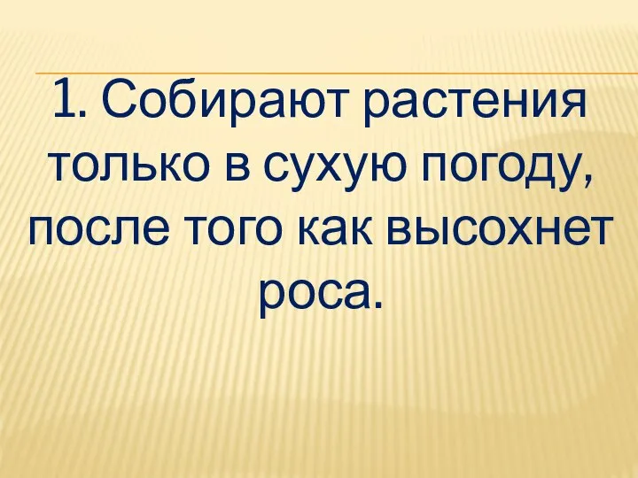 1. Собирают растения только в сухую погоду, после того как высохнет роса.