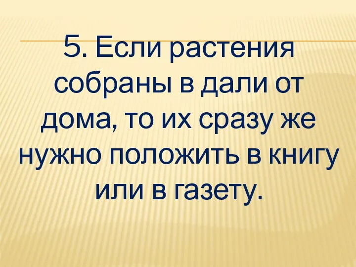 5. Если растения собраны в дали от дома, то их сразу же