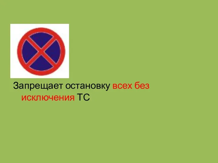 Запрещает остановку всех без исключения ТС