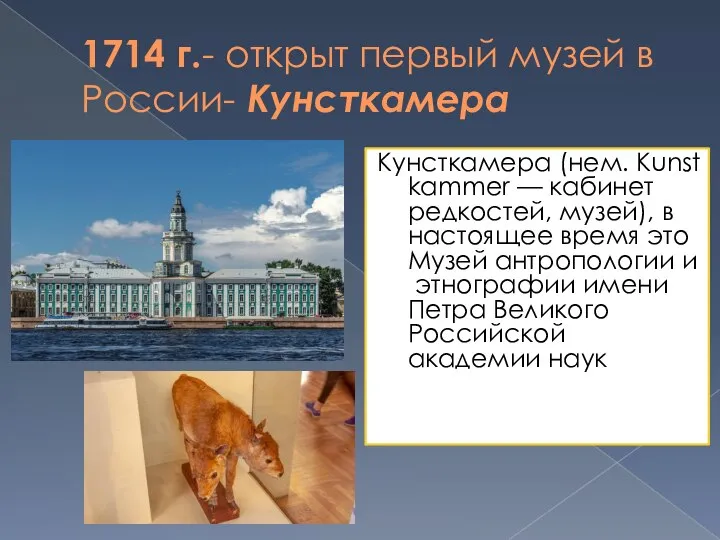 1714 г.- открыт первый музей в России- Кунсткамера Кунсткамера (нем. Kunstkammer —