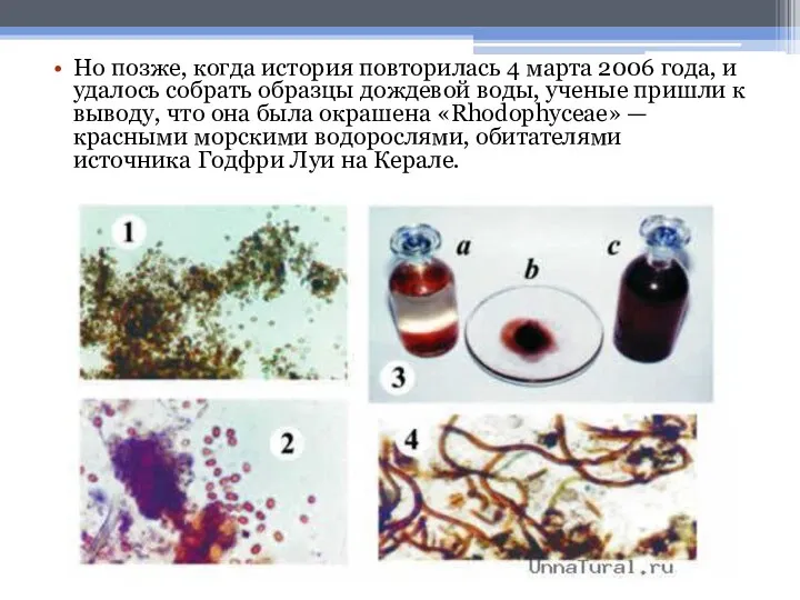 Но позже, когда история повторилась 4 марта 2006 года, и удалось собрать