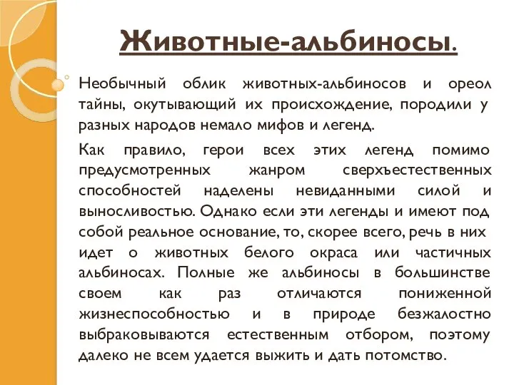 Животные-альбиносы. Необычный облик животных-альбиносов и ореол тайны, окутывающий их происхождение, породили у