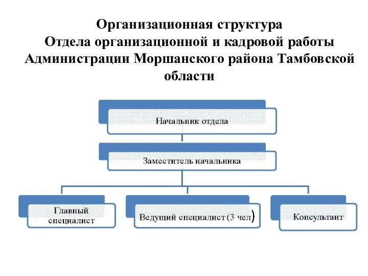 Организационная структура Отдела организационной и кадровой работы Администрации Моршанского района Тамбовской области