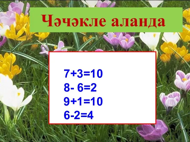 Чәчәкле аланда 7+3=10 8- 6=2 9+1=10 6-2=4