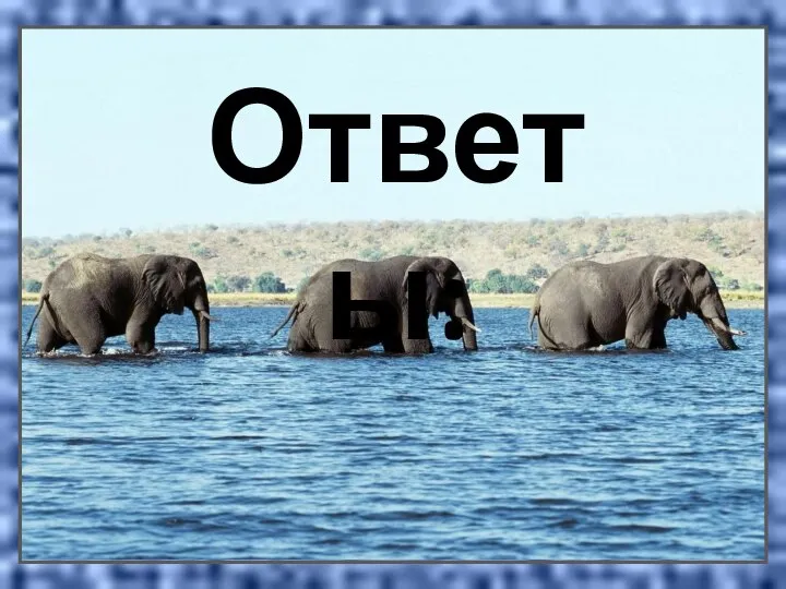 Ответы: