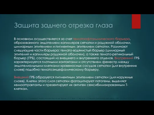 В основном осуществляется за счет гематоофтальмического барьера, образованного эндотелием капилляров сетчатки и