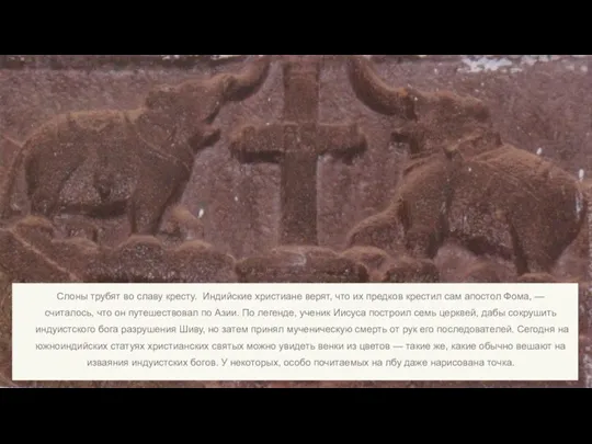 Слоны трубят во славу кресту. Индийские христиане верят, что их предков крестил