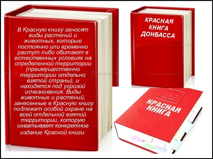 В Красную книгу заносят виды растений и животных, которые постоянно или временно