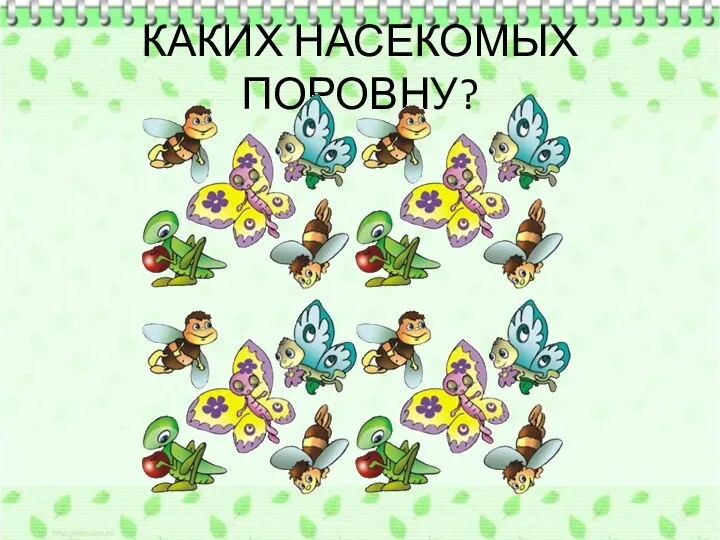 КАКИХ НАСЕКОМЫХ ПОРОВНУ?