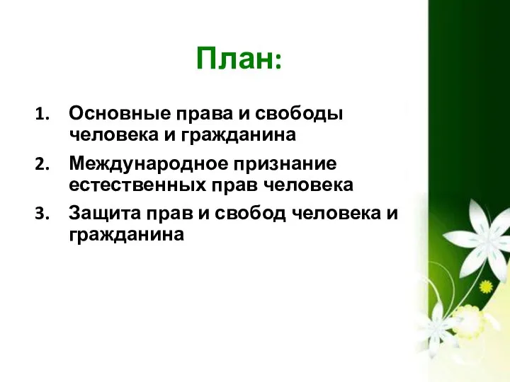 План: Основные права и свободы человека и гражданина Международное признание естественных прав