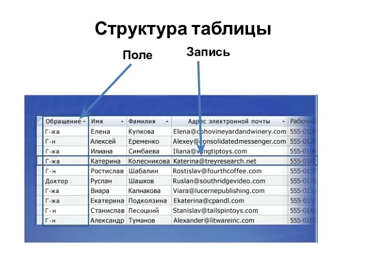 Структура таблицы Поле Запись