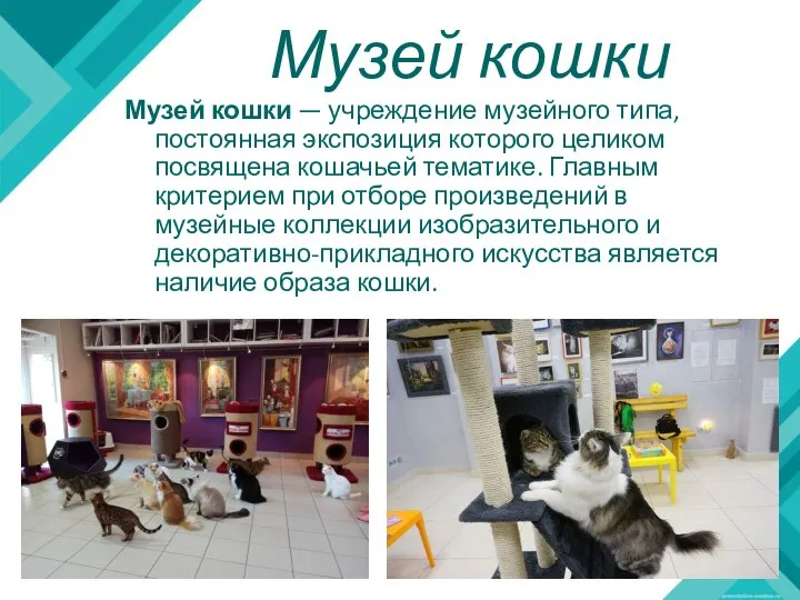Музей кошки Музей кошки — учреждение музейного типа, постоянная экспозиция которого целиком