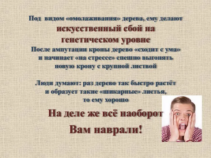 Под видом «омолаживания» дерева, ему делают искусственный сбой на генетическом уровне После