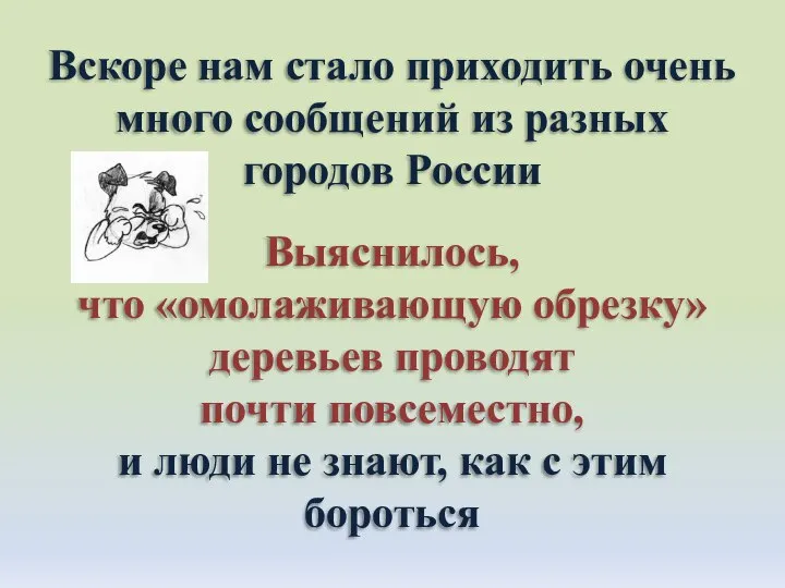 Вскоре нам стало приходить очень много сообщений из разных городов России Выяснилось,