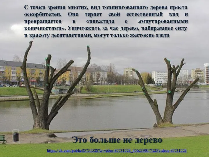 С точки зрения многих, вид топпингованного дерева просто оскорбителен. Оно теряет свой