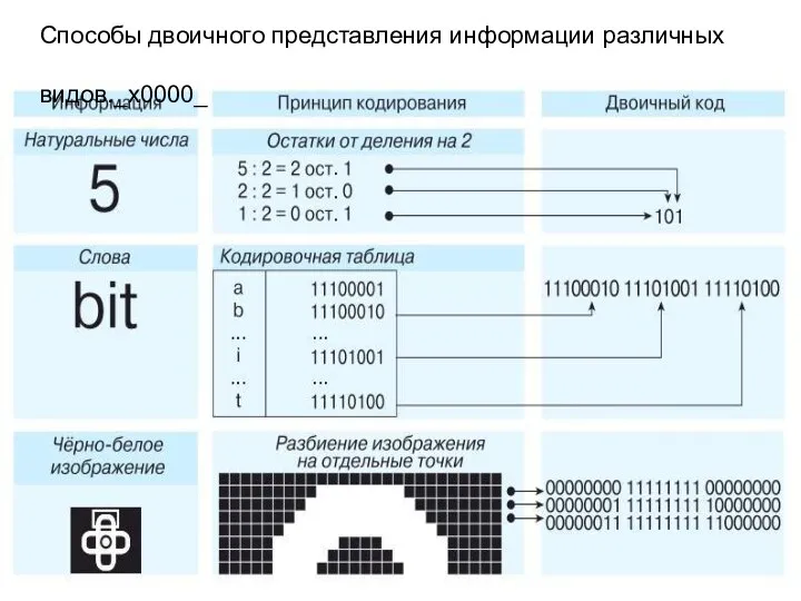 Способы двоичного представления информации различных видов._x0000_