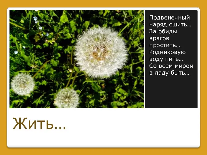 Подвенечный наряд сшить… За обиды врагов простить… Родниковую воду пить… Со всем