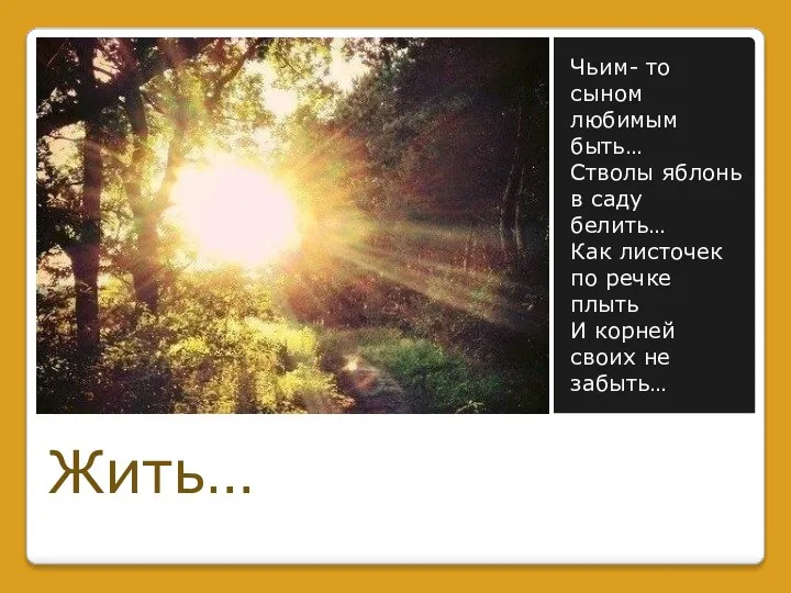 Чьим- то сыном любимым быть… Стволы яблонь в саду белить… Как листочек